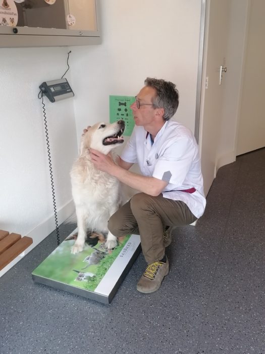 Sterkliniek Nijmegen Veterinary Clinic